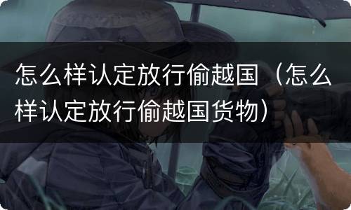 怎么样认定放行偷越国（怎么样认定放行偷越国货物）