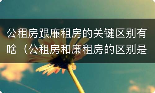 公租房跟廉租房的关键区别有啥（公租房和廉租房的区别是啥）