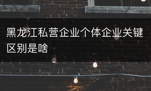 黑龙江私营企业个体企业关键区别是啥