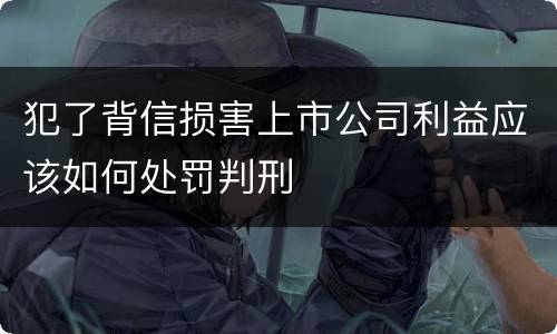 犯了背信损害上市公司利益应该如何处罚判刑