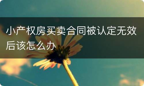 小产权房买卖合同被认定无效后该怎么办