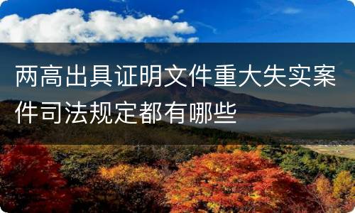 两高出具证明文件重大失实案件司法规定都有哪些