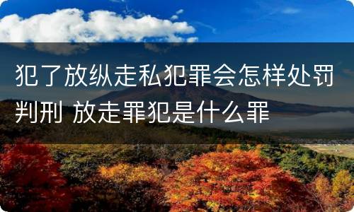 犯了放纵走私犯罪会怎样处罚判刑 放走罪犯是什么罪
