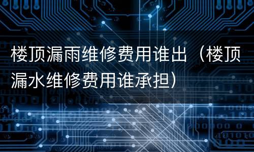 楼顶漏雨维修费用谁出（楼顶漏水维修费用谁承担）