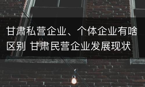 甘肃私营企业、个体企业有啥区别 甘肃民营企业发展现状