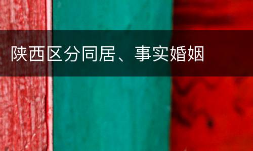 陕西区分同居、事实婚姻