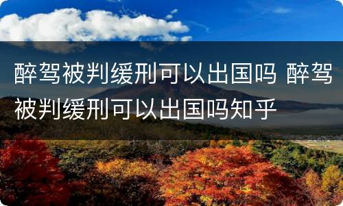 醉驾被判缓刑可以出国吗 醉驾被判缓刑可以出国吗知乎