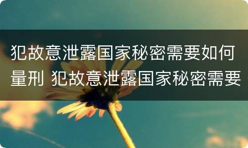 犯故意泄露国家秘密需要如何量刑 犯故意泄露国家秘密需要如何量刑处罚