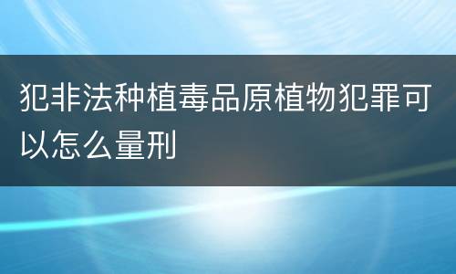 犯非法种植毒品原植物犯罪可以怎么量刑