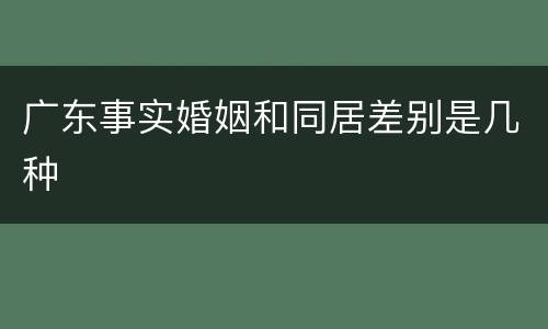 广东事实婚姻和同居差别是几种