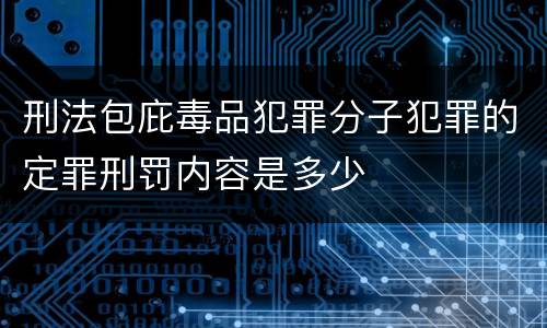 刑法包庇毒品犯罪分子犯罪的定罪刑罚内容是多少