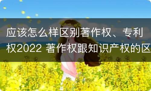 应该怎么样区别著作权、专利权2022 著作权跟知识产权的区别