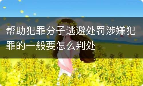 帮助犯罪分子逃避处罚涉嫌犯罪的一般要怎么判处