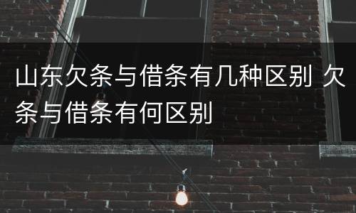 山东欠条与借条有几种区别 欠条与借条有何区别