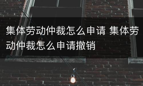 集体劳动仲裁怎么申请 集体劳动仲裁怎么申请撤销