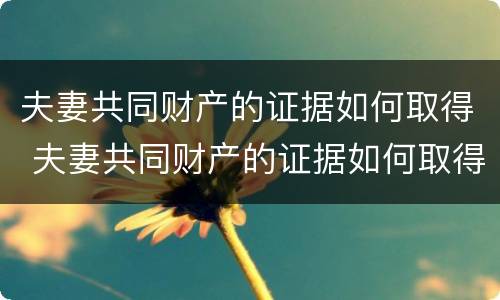 夫妻共同财产的证据如何取得 夫妻共同财产的证据如何取得证明