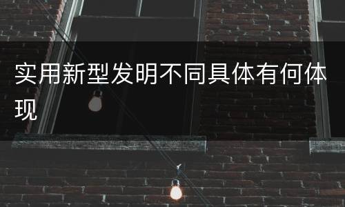 实用新型发明不同具体有何体现