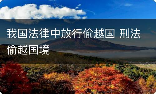 我国法律中放行偷越国 刑法 偷越国境