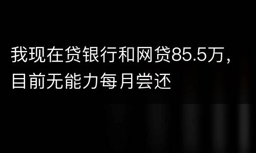 我现在贷银行和网贷85.5万，目前无能力每月尝还