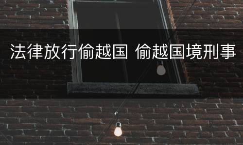 法律放行偷越国 偷越国境刑事