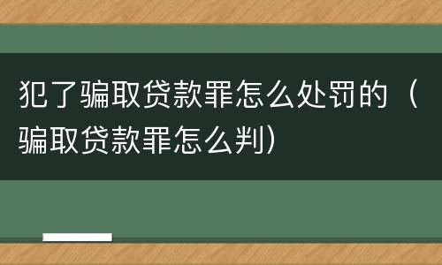 犯了骗取贷款罪怎么处罚的（骗取贷款罪怎么判）