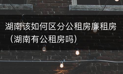 湖南该如何区分公租房廉租房（湖南有公租房吗）