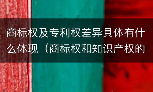 商标权及专利权差异具体有什么体现（商标权和知识产权的区别）