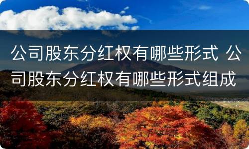 公司股东分红权有哪些形式 公司股东分红权有哪些形式组成