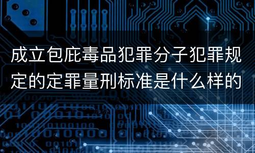 成立包庇毒品犯罪分子犯罪规定的定罪量刑标准是什么样的