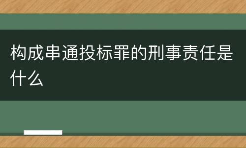 构成串通投标罪的刑事责任是什么