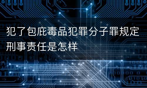 犯了包庇毒品犯罪分子罪规定刑事责任是怎样