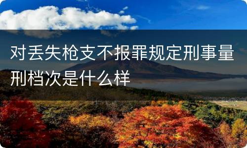 对丢失枪支不报罪规定刑事量刑档次是什么样