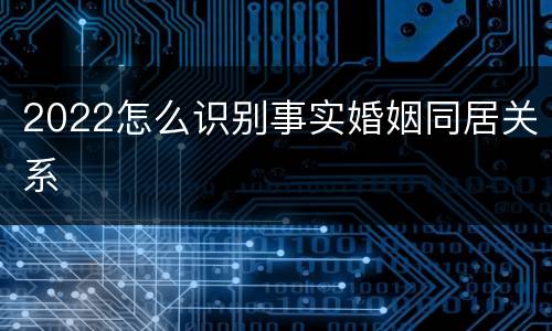 2022怎么识别事实婚姻同居关系