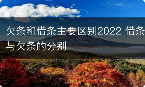 欠条和借条主要区别2022 借条与欠条的分别