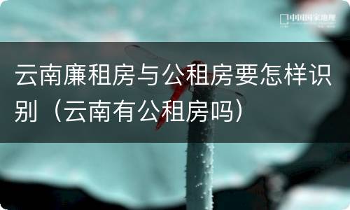 云南廉租房与公租房要怎样识别（云南有公租房吗）