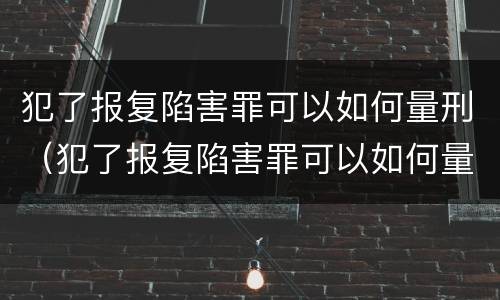 犯了报复陷害罪可以如何量刑（犯了报复陷害罪可以如何量刑呢）