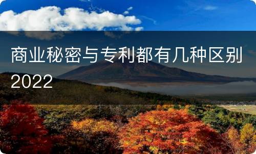 商业秘密与专利都有几种区别2022