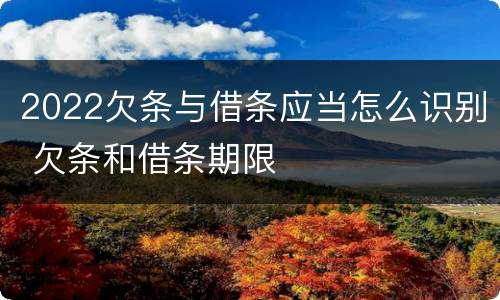 2022欠条与借条应当怎么识别 欠条和借条期限