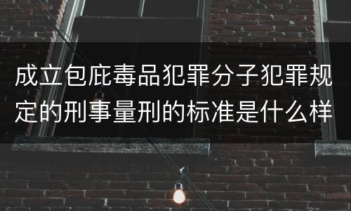 成立包庇毒品犯罪分子犯罪规定的刑事量刑的标准是什么样的