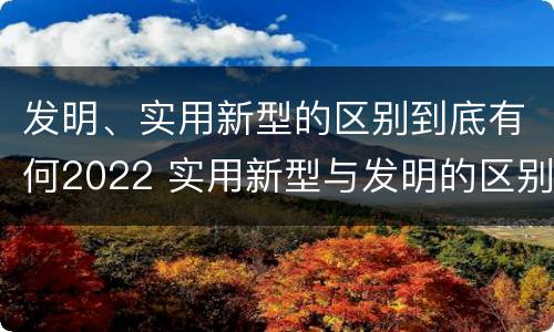 发明、实用新型的区别到底有何2022 实用新型与发明的区别有哪些