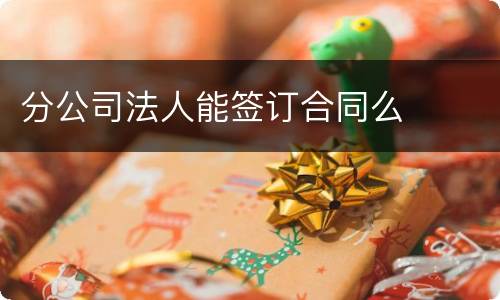 分公司法人能签订合同么