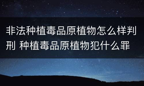 非法种植毒品原植物怎么样判刑 种植毒品原植物犯什么罪