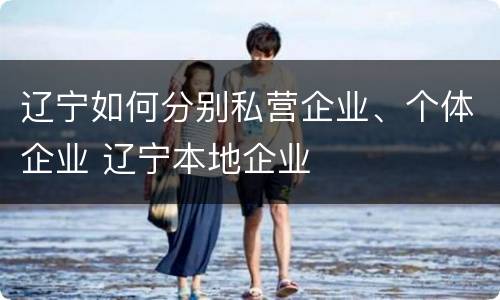 辽宁如何分别私营企业、个体企业 辽宁本地企业