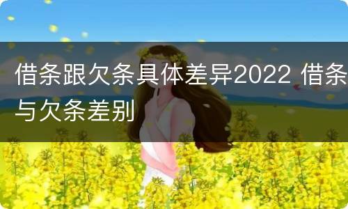 借条跟欠条具体差异2022 借条与欠条差别