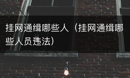 挂网通缉哪些人（挂网通缉哪些人员违法）