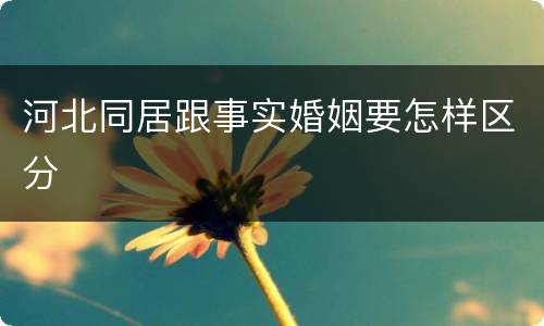 河北同居跟事实婚姻要怎样区分