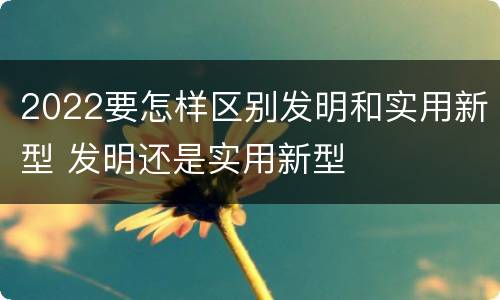2022要怎样区别发明和实用新型 发明还是实用新型