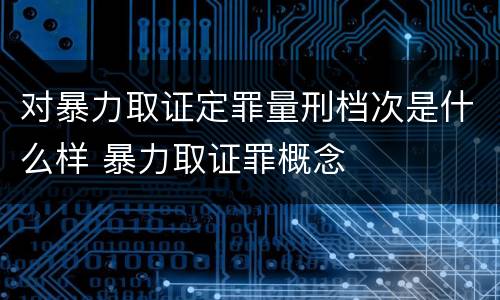 对暴力取证定罪量刑档次是什么样 暴力取证罪概念