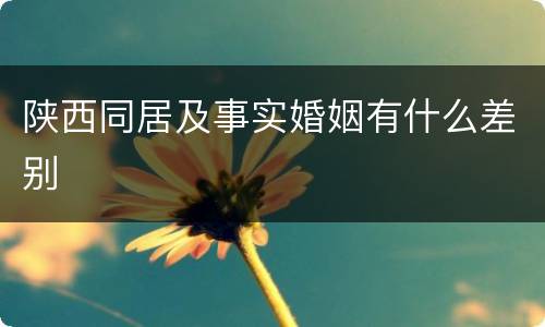陕西同居及事实婚姻有什么差别
