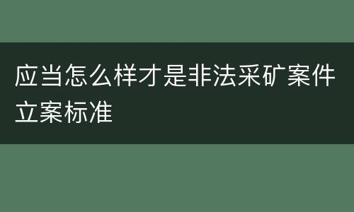 应当怎么样才是非法采矿案件立案标准